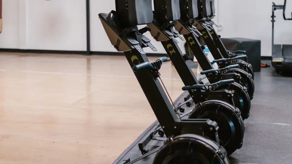 Line of upright rowing machines in a training hall