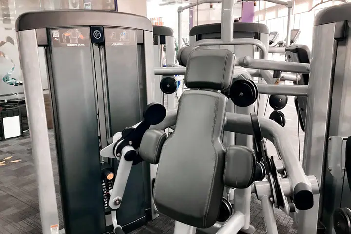 Seated biceps curl machine with padded arm rest