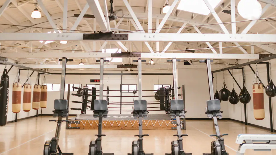 Rowing machines standing in a line in a bright, open training hall