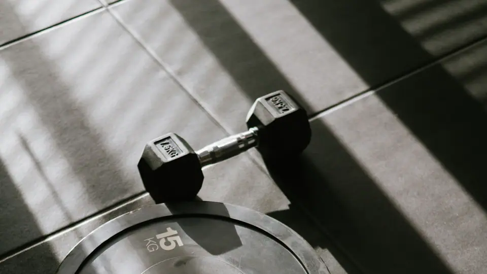 Black-and-white photo of a bumper plate and a dumbbell on a sunlit gym floor