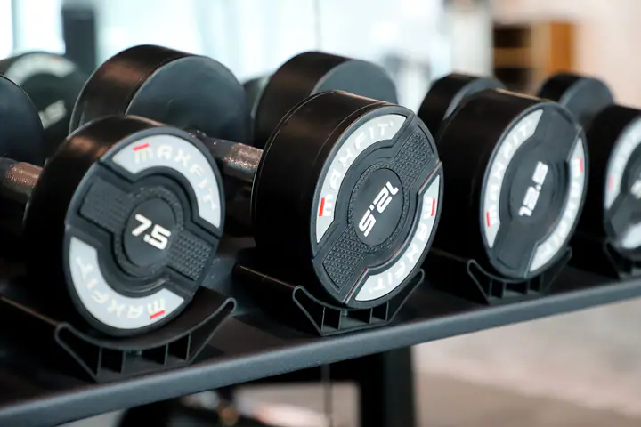 Dumbbells of 7.5 and 12.5 kg side by side on a rack