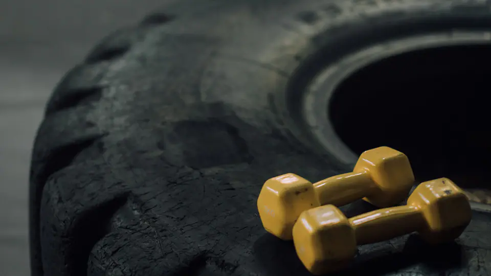 Pair of small dumbbells resting on a large training tyre