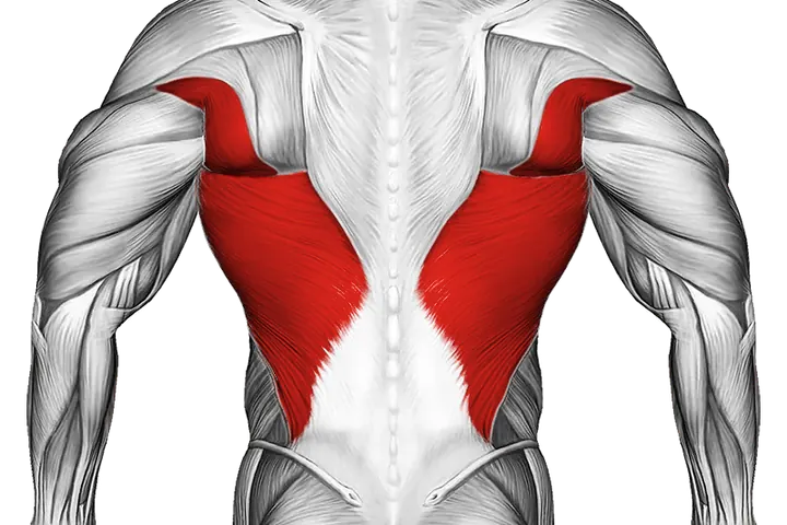 Lats