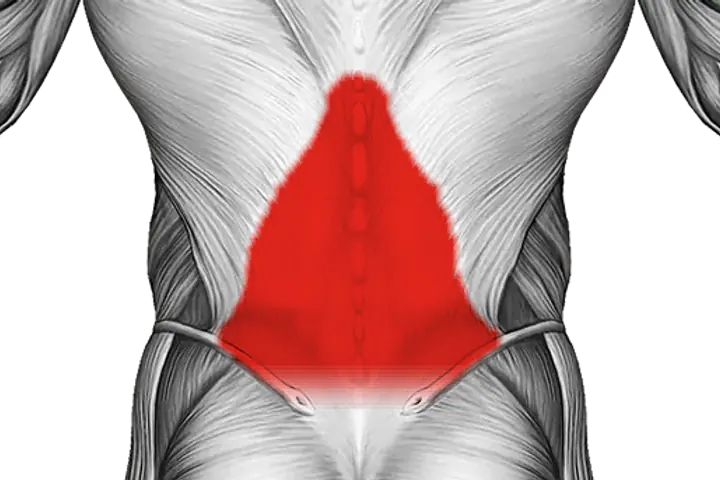 Lower back