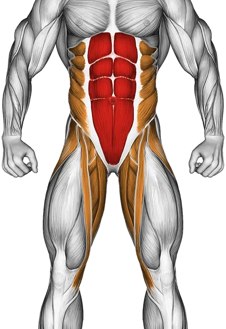 Bottoms Up — Muscles worked: Core, Obliques, Abductors, Quadriceps, Adductors