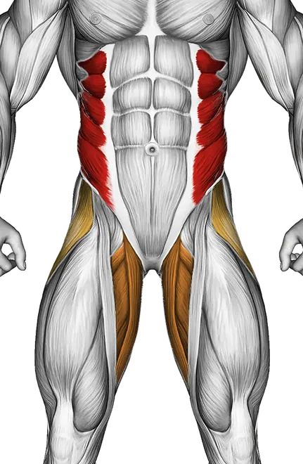 Side Bridge Hip Abduction — Muscles worked: Obliques, Abductors, Adductors (Front)