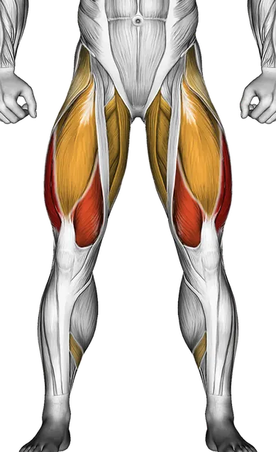 Leg Press Form: Quads, Glutes and Safe Depth — Muscles worked: Quadriceps, Glutes, Hamstrings, Adductors, Abductors, Calves (Front)