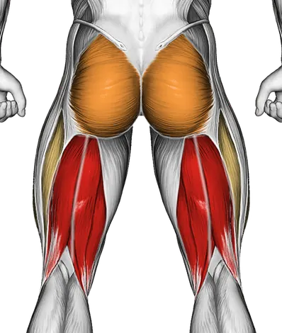 Lying Leg Tuck Hip Stretch — Muscles worked: Hamstrings, Glutes, Quadriceps (Back)