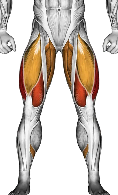 Dumbbell Side Lunge (Version 3) — Muscles worked: Quadriceps, Glutes, Abductors, Adductors, Hamstrings, Calves (Front)