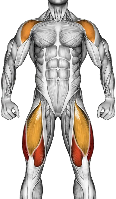Landmine Squat and Press — Muscles worked: Quadriceps, Front delts, Glutes, Hamstrings (Front)