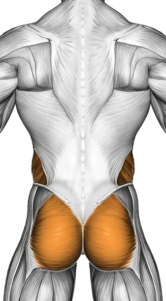 Kneeling Plank — Muscles worked: Core, Chest, Serratus, Front delts, Obliques, Glutes, Abductors (Back)