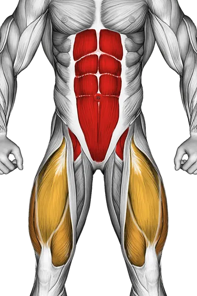 Boat Stretch — Muscles worked: Core, Quadriceps (Front)