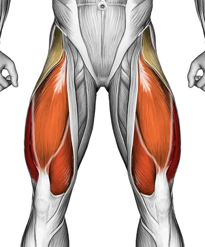 Kneeling Side Leg to Kick — Muscles worked: Quadriceps, Glutes, Abductors, Hamstrings (Front)