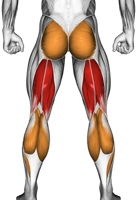 Dumbbell Lying Femoral — Muscles worked: Hamstrings, Glutes, Calves