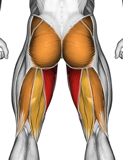 Side to Side Leg Swings — Muscles worked: Adductors, Glutes, Abductors, Hamstrings (Back)