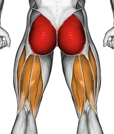 Flexion and Extension Hip Stretch — Muscles worked: Glutes, Core, Quadriceps, Hamstrings (Back)