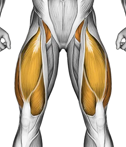 Flexion and Extension Hip Stretch — Muscles worked: Glutes, Core, Quadriceps, Hamstrings (Front)