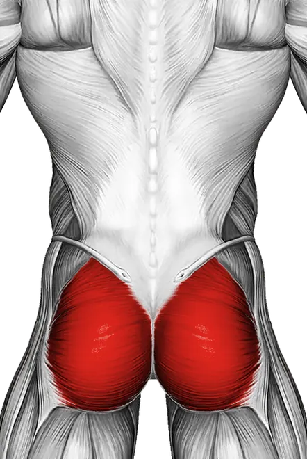 Hip Flexor Stretch Rear Foot Elevated — Muscles worked: Glutes, Core (Back)