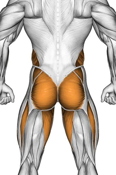 Elbow to Knee Side Plank Crunch — Muscles worked: Core, Obliques, Glutes, Abductors, Quadriceps, Adductors (Back)