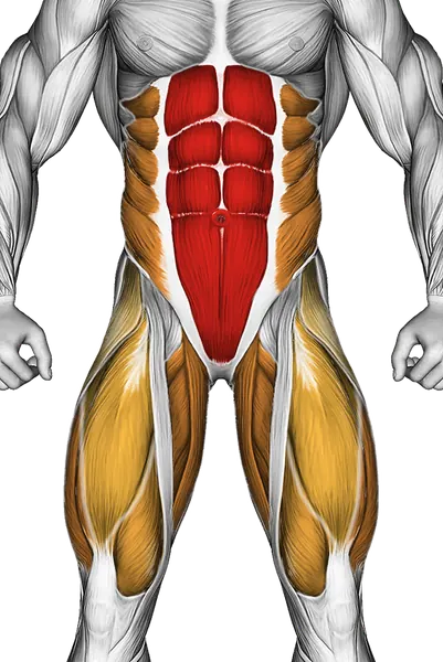 Elbow to Knee Side Plank Crunch — Muscles worked: Core, Obliques, Glutes, Abductors, Quadriceps, Adductors (Front)