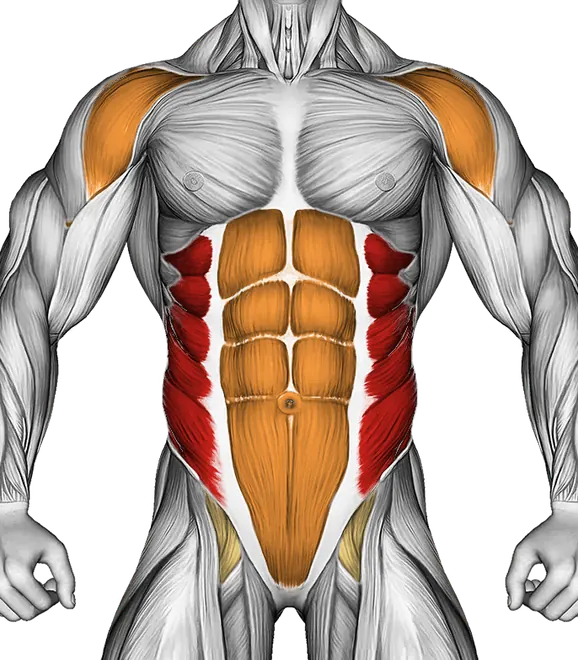 Alternate Punching — Muscles worked: Obliques, Front delts, Core