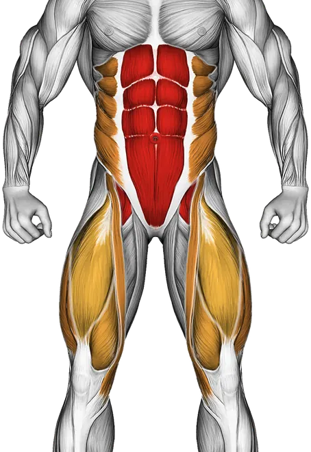 Hollow Hold — Muscles worked: Core, Obliques, Quadriceps