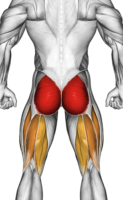 Glute Bridge March — Muscles worked: Glutes, Core, Quadriceps, Hamstrings (Back)