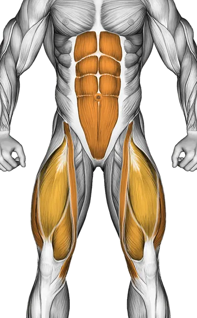 Glute Bridge March — Muscles worked: Glutes, Core, Quadriceps, Hamstrings (Front)