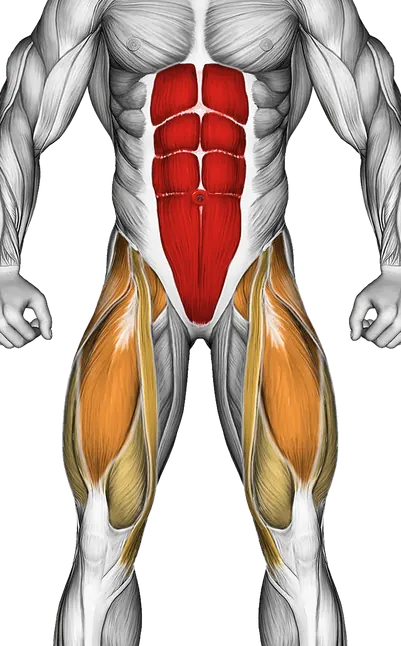 Lying Leg Raise — Muscles worked: Core, Glutes, Abductors, Quadriceps (Front)