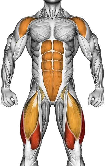 Jump Box — Muscles worked: Quadriceps, Front delts, Core