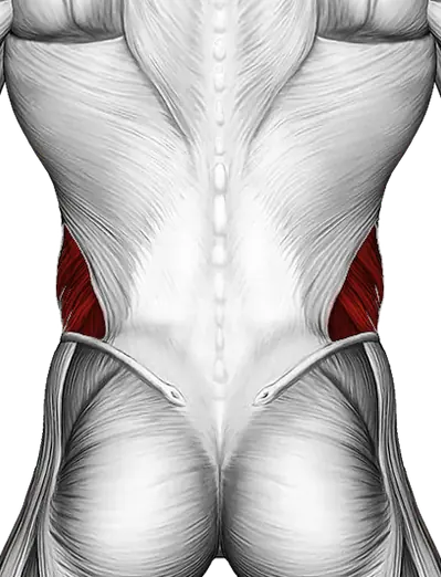 Russian Twist — Muscles worked: Obliques, Core (Back)