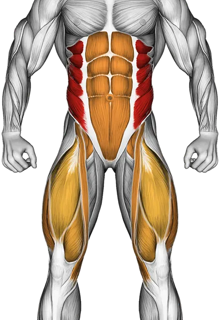 Air Twisting Crunch — Muscles worked: Obliques, Core, Quadriceps
