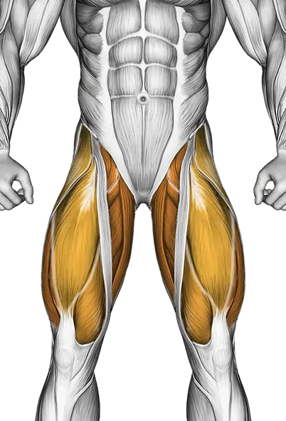 Pigeon Hip Stretch — Muscles worked: Glutes, Core, Lower back, Abductors, Quadriceps, Adductors, Hamstrings (Front)