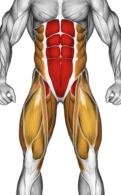 Incline Leg Hip Raise (Leg Straight) — Muscles worked: Core, Obliques, Abductors, Quadriceps, Adductors (Front)
