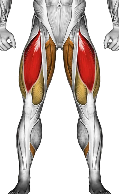 Lunge with Leg Lift — Muscles worked: Quadriceps, Glutes, Adductors, Calves (Front)