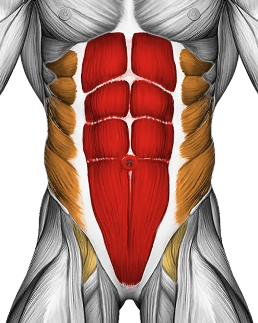 Half Squat Side Reach — Muscles worked: Core, Obliques