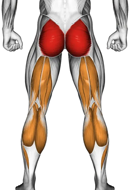 Runners Stretch — Muscles worked: Glutes, Hamstrings, Calves