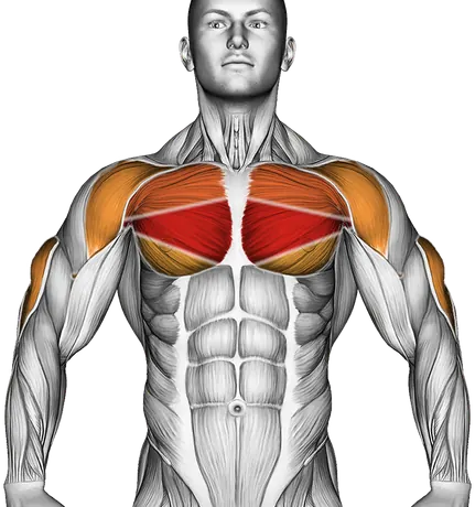 Lever Lying Chest Press (Plate Loaded) — Muscles worked: Chest, Front delts, Triceps (Front)