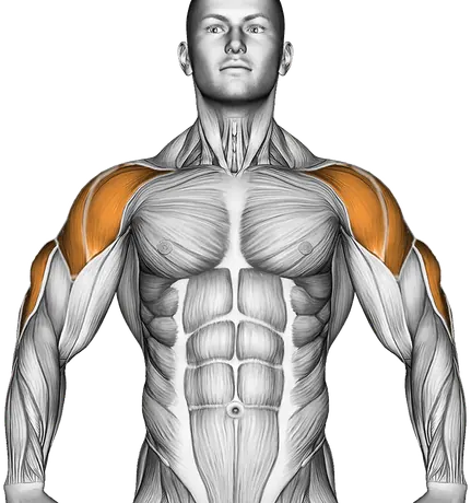 Cable Cross Over Revers Fly — Muscles worked: Rear delts, Front delts, Side delts, Upper back, Triceps (Front)