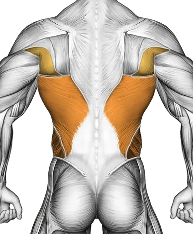 Spell Caster — Muscles worked: Core, Chest, Serratus, Front delts, Lats, Obliques (Back)