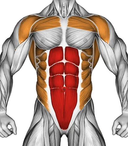 Spell Caster — Muscles worked: Core, Chest, Serratus, Front delts, Lats, Obliques (Front)