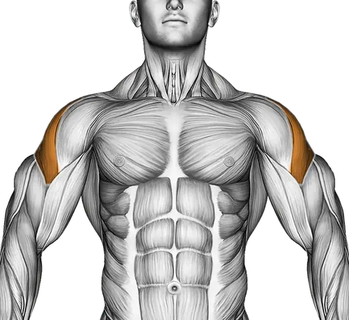 Swimmer Kicks — Muscles worked: Rear delts, Side delts, Upper back (Front)