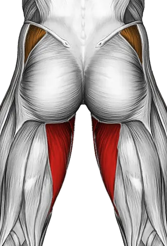 Hip Circles Stretch — Muscles worked: Adductors, Abductors (Back)