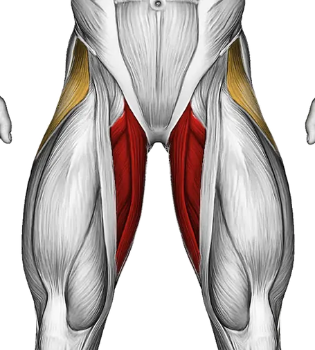 Hip Circles Stretch — Muscles worked: Adductors, Abductors (Front)