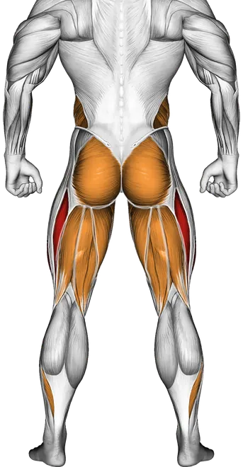 Kettlebell Lunge Pass Through — Muscles worked: Quadriceps, Obliques, Glutes, Adductors, Hamstrings, Calves (Back)