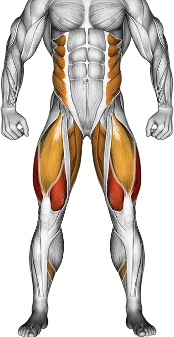 Kettlebell Lunge Pass Through — Muscles worked: Quadriceps, Obliques, Glutes, Adductors, Hamstrings, Calves (Front)