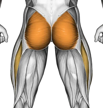 Knee Raise — Muscles worked: Quadriceps, Glutes (Back)