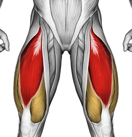 Knee Raise — Muscles worked: Quadriceps, Glutes (Front)