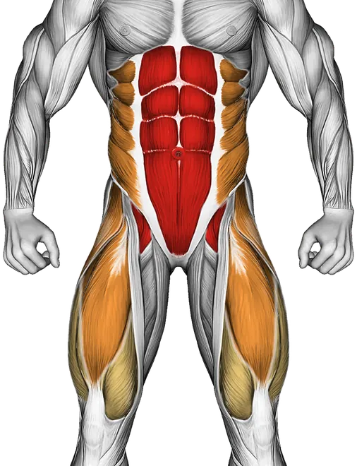 Seated in Out Leg Raise on Floor — Muscles worked: Core, Obliques, Abductors, Quadriceps