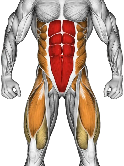 V Up with Clap — Muscles worked: Core, Serratus, Obliques, Abductors, Quadriceps